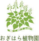 有限会社荻原植物園
