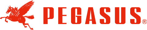 株式会社PEGASUS