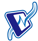有限会社ネットプロンプト